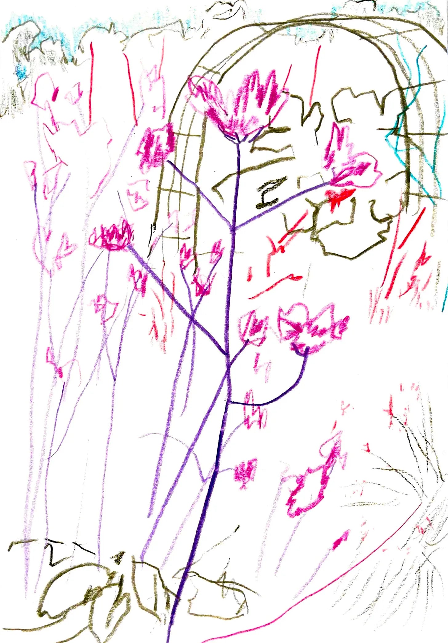 Learning to draw with my non-dominant hand